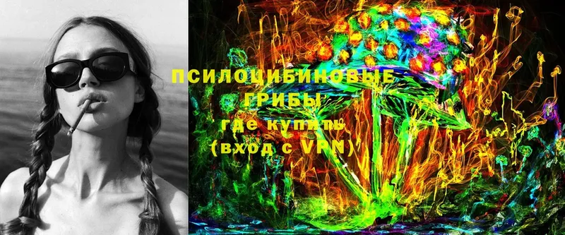 Псилоцибиновые грибы MAGIC MUSHROOMS  купить закладку  Нижняя Салда 