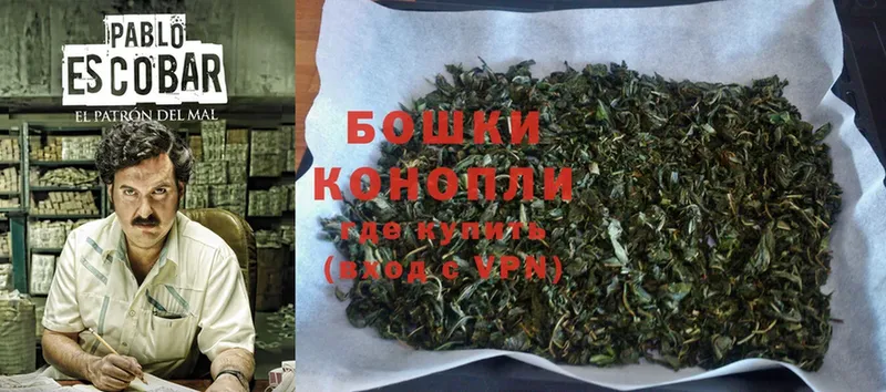 Каннабис SATIVA & INDICA  что такое   Нижняя Салда 